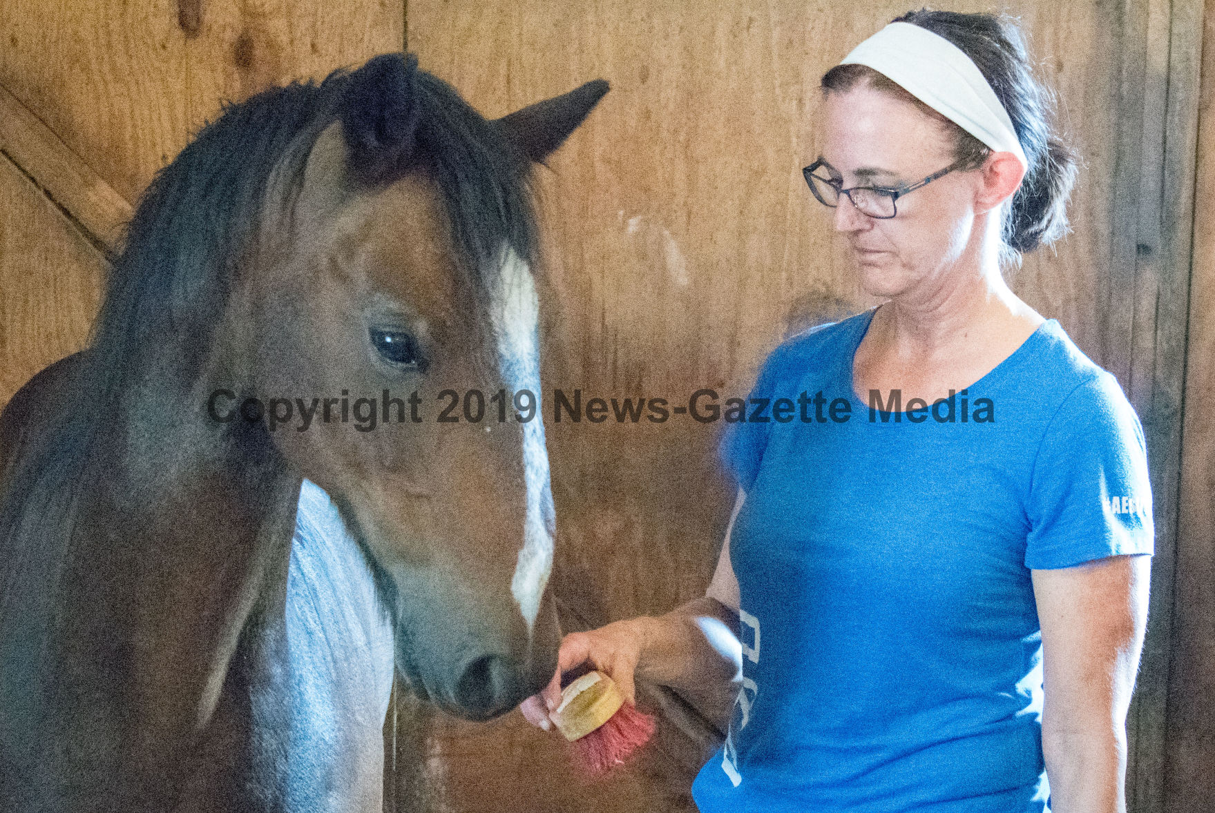 horses